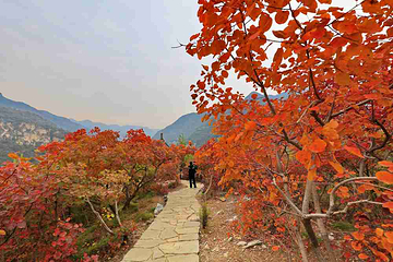 坡峰岭第 18 张图片