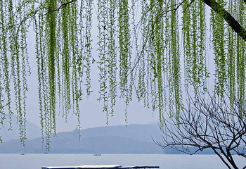 西湖风景名胜区第 155 张图片