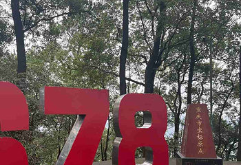 歌乐山国家森林公园第 30 张图片