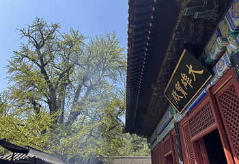 红螺寺第 134 张图片
