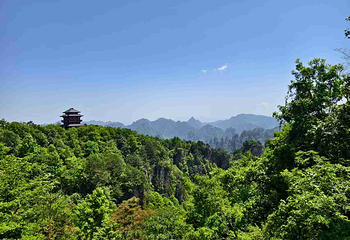 张家界国家森林公园第 131 张图片
