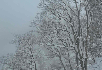 GALA汤泽滑雪场第 28 张图片