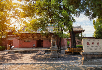镇国寺第 13 张图片