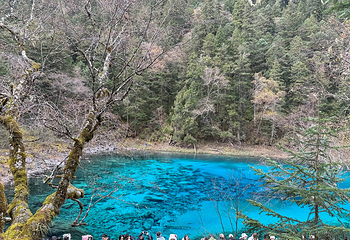 九寨沟风景区第 577 张图片