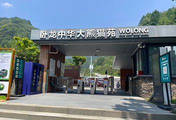卧龙中华大熊猫苑神树坪基地第 24 张图片