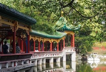 鹅岭公园第 40 张图片