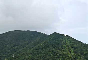 广东梧桐山国家森林公园第 12 张图片
