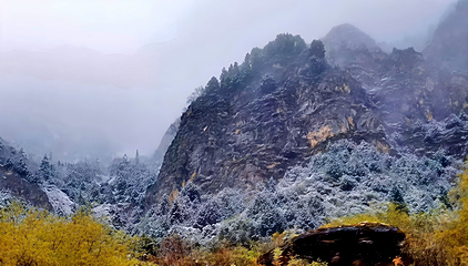 黄龙风景名胜区第 203 张图片