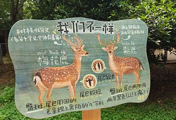 合肥野生动物园第 6 张图片