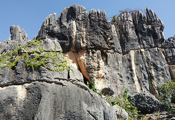 石林风景区第 123 张图片