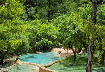 黄龙风景名胜区第 152 张图片