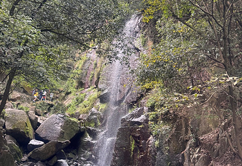 莫干山风景名胜区第 100 张图片