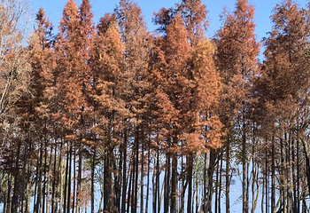 磻溪村第 31 张图片