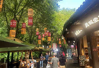 青城山第 283 张图片