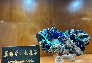 青岛德国总督楼旧址博物馆第 62 张图片