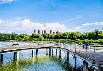 西安浐灞国家湿地公园第 48 张图片