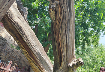 晋祠博物馆第 485 张图片