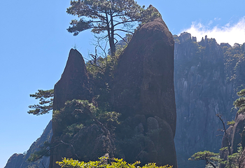 黄山风景区第 372 张图片