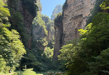 张家界大峡谷第 116 张图片
