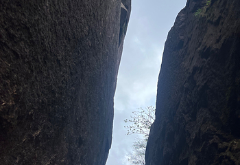 黄山风景区第 522 张图片