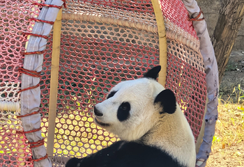 石家庄市动物园第 26 张图片