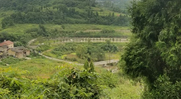 寿溪河湿地公园