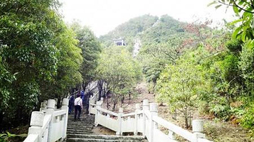 九龙峰森林公园