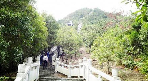 九龙峰森林公园