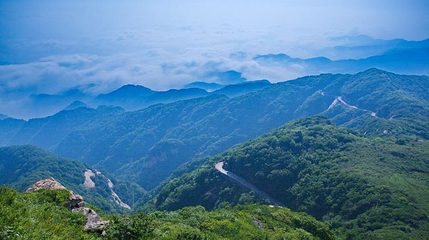 太白顶风景区陈顺照蜂场第 1 张图片