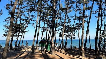 Igari anchor observatory