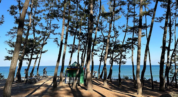 Igari anchor observatory