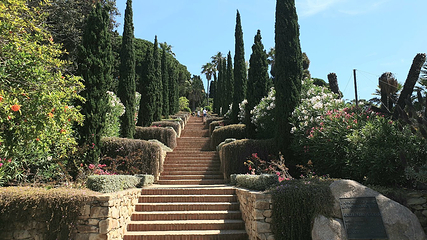 Jardin Botanico Marimurtra第 10 张图片