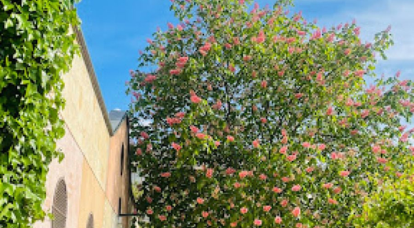 塞哥维亚植物园