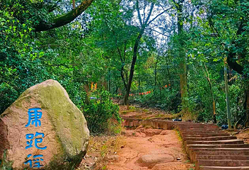 老君山第 12 张图片