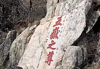 泰山风景区第 421 张图片