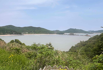 朱家尖大青山景区第 21 张图片