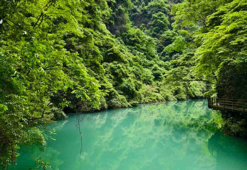 张家界大峡谷第 29 张图片