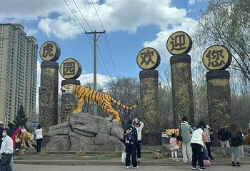 东北虎林园第 76 张图片