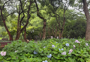 拙政园第 303 张图片