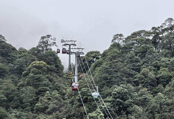 三清山风景区第 272 张图片