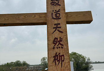 黄河口生态旅游区第 101 张图片