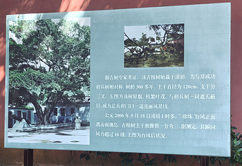 总兵府第 9 张图片
