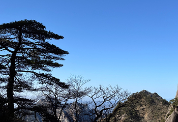黄山风景区第 218 张图片