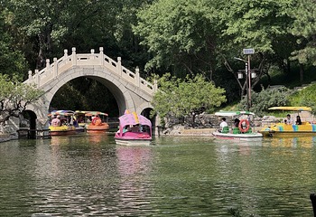 团结湖公园第 42 张图片