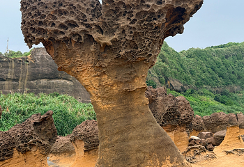 野柳地质公园第 80 张图片