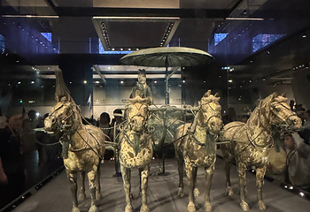 秦始皇帝陵博物院(兵马俑)第 379 张图片