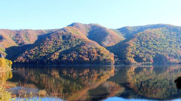 白桦园林风景区