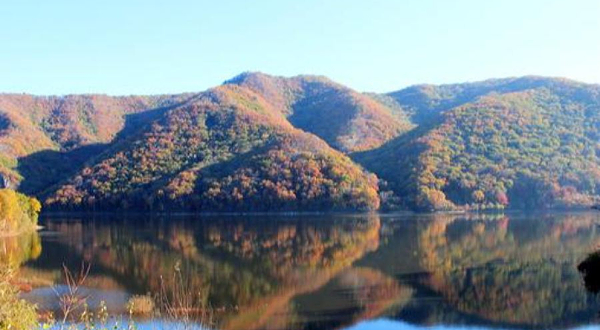 白桦园林风景区