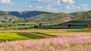 白于山田园花海旅游区