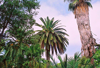 Jardin Botanico Marimurtra第 3 张图片